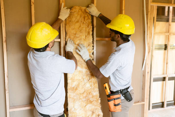 Best Cellulose Insulation  in South Valley, NM