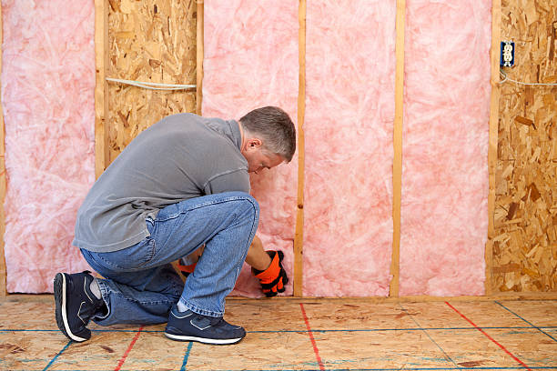 Insulation Repair Services in South Valley, NM