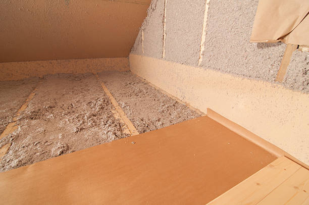 Best Insulation Removal  in South Valley, NM