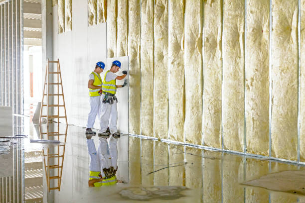 Best Insulation for New Construction  in South Valley, NM